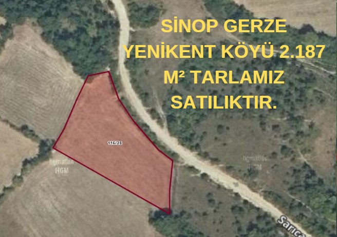 SİNOP GERZE YENİKENTKÖYÜ 2.187 M² TARLAMIZ SATILIKTIR. - SİNOP GERZE fotoğraf 6
